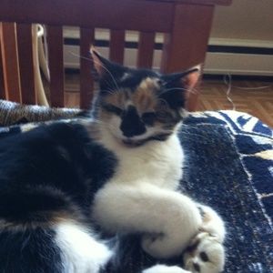 Meet your Posher, Charlotte